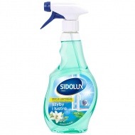SIDOLUX płyn do mycia szyb i luster - zimowy bukiet